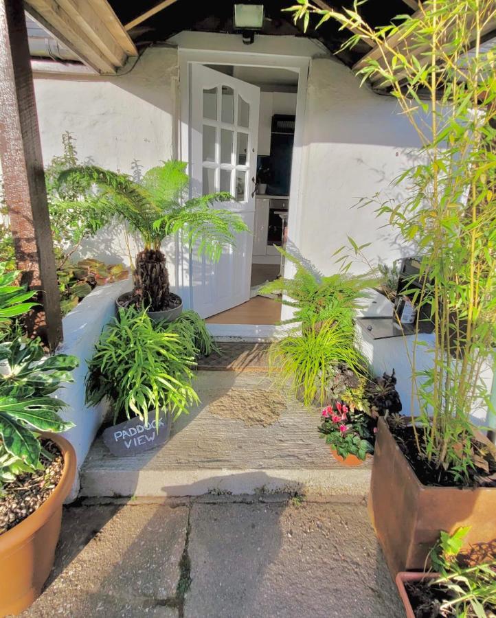 Idyllic Cornish Cottage, Superking Bed, Private Garden Dogs Welcome Truro Luaran gambar