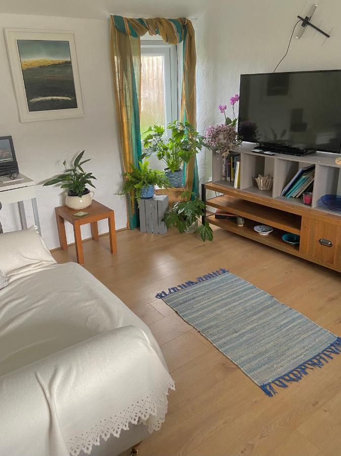 Idyllic Cornish Cottage, Superking Bed, Private Garden Dogs Welcome Truro Luaran gambar