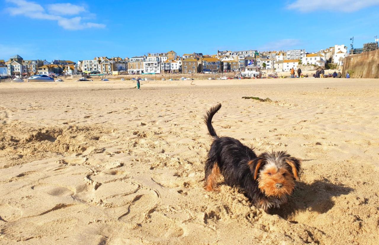 Idyllic Cornish Cottage, Superking Bed, Private Garden Dogs Welcome Truro Luaran gambar